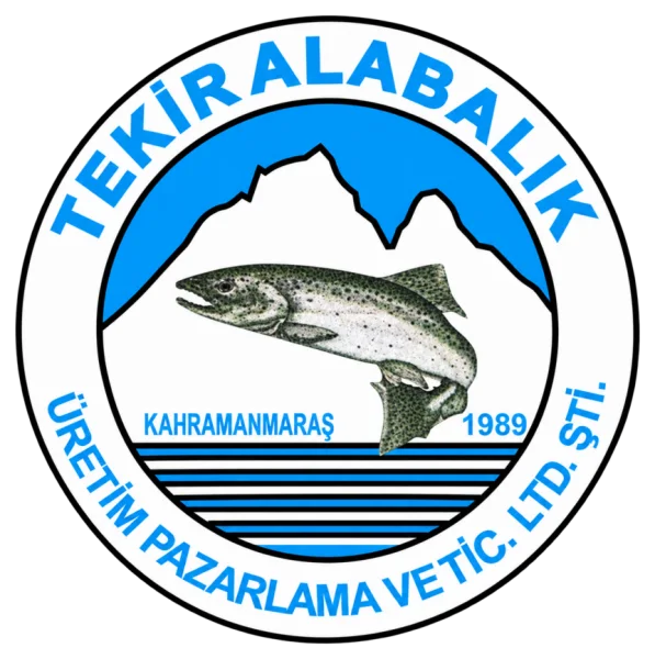Tekir Alabalık